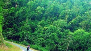 Western Nghe An Biosphere Reserve - ảnh 1